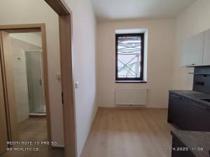 Pronájem bytu 1+1, České Budějovice, Fráni Šrámka, 35 m2
