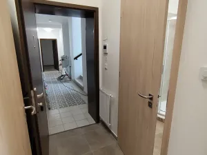 Pronájem bytu 1+1, České Budějovice, Fráni Šrámka, 35 m2