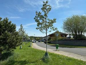 Prodej rodinného domu, Borek, 170 m2