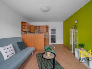 Prodej bytu 1+kk, Praha - Záběhlice, Velenovského, 30 m2