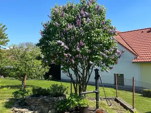 Prodej rodinného domu, Dolní Třebonín, 114 m2