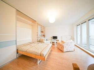 Pronájem bytu 1+kk, Praha - Záběhlice, Mattioliho, 36 m2