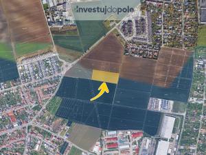 Prodej pole, Moravany, 12960 m2