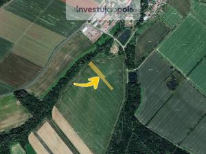 Prodej pole, Věžky, 1281 m2