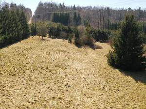 Prodej pozemku pro bydlení, Vápenný Podol, 4420 m2