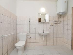 Pronájem bytu 1+kk, Třemešná, 40 m2