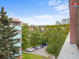Prodej bytu 1+1, Slaný, Všehlušická, 28 m2