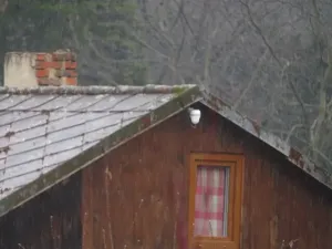 Dražba chaty, Teplice, Duchcovská, 20 m2