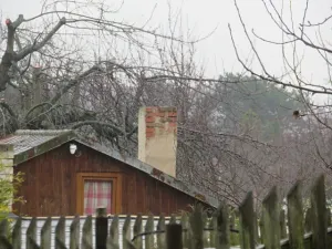Dražba chaty, Teplice, Duchcovská, 20 m2
