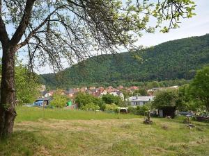 Prodej zahrady, Nedvědice, 1833 m2