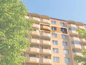 Prodej bytu 2+1, Veselí nad Moravou, Hutník, 63 m2
