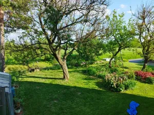 Pronájem bytu 1+kk, Pavlovice u Přerova, 28 m2