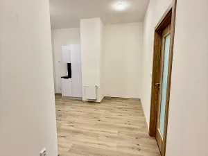 Pronájem bytu 2+1, Plzeň, Klatovská třída, 66 m2