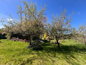 Pronájem chaty, Zvánovice, 80 m2