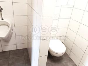 Pronájem kanceláře, Karviná - Fryštát, Lešetínská, 14 m2
