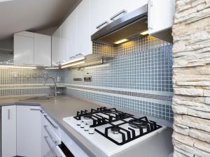 Pronájem bytu 2+kk, Opava - Předměstí, Mánesova, 48 m2