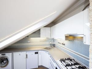 Pronájem bytu 2+kk, Opava - Předměstí, Mánesova, 48 m2