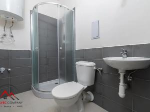 Pronájem bytu 1+kk, Ostrava, Palackého, 28 m2