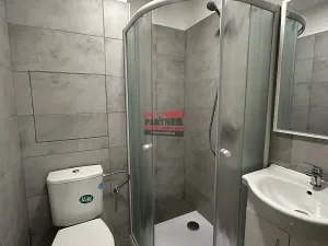 Pronájem bytu 1+1, Sezimovo Ústí, Lipová, 28 m2