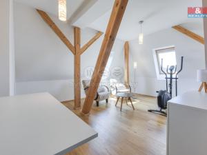 Pronájem bytu 3+1, Plzeň - Jižní Předměstí, Erbenova, 140 m2