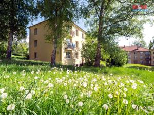 Prodej bytu 2+1, Příbram - Příbram VII, Mariánská, 52 m2