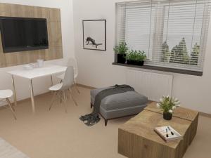 Pronájem bytu 1+kk, Čáslav - Čáslav-Nové Město, Boženy Němcové, 29 m2
