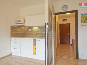 Pronájem bytu 1+kk, Karviná - Mizerov, Studentská, 30 m2