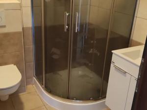 Pronájem bytu 1+kk, Karlovy Vary, Studentská, 45 m2