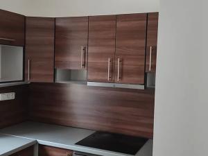 Pronájem bytu 1+kk, Karlovy Vary, Studentská, 45 m2
