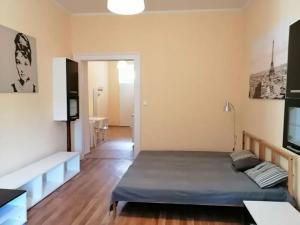 Pronájem bytu 1+1, Praha - Karlín, Šaldova, 39 m2