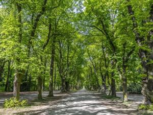 Prodej bytu 1+kk, Praha - Ruzyně, Stočesova, 31 m2