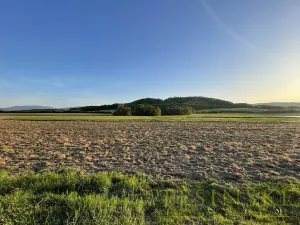 Prodej rybníku, Žulová, 7142 m2