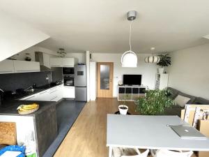 Pronájem bytu 2+kk, Plzeň, Nad Týncem, 46 m2