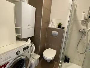 Pronájem bytu 2+kk, Plzeň, Nad Týncem, 46 m2