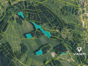 Prodej podílu lesa, Plavy, 1113 m2