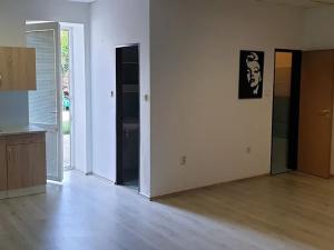 Pronájem bytu 1+kk, Teplice, U Červeného kostela, 40 m2