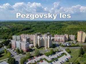 Prodej bytu 3+1, Havířov - Šumbark, Lidická, 65 m2