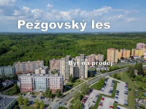 Prodej bytu 3+1, Havířov - Šumbark, Lidická, 65 m2