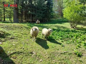 Prodej rodinného domu, Uhelná, 120 m2