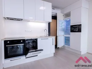 Pronájem bytu 1+kk, Praha - Žižkov, Jana Želivského, 35 m2