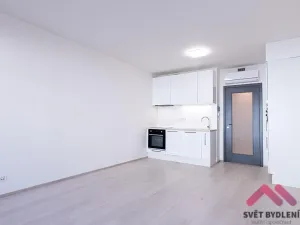 Pronájem bytu 1+kk, Praha - Žižkov, Jana Želivského, 35 m2