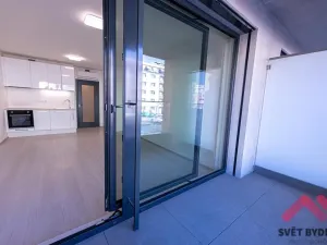 Pronájem bytu 1+kk, Praha - Žižkov, Jana Želivského, 35 m2