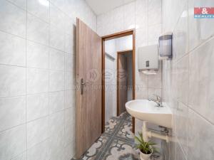 Pronájem skladu, Nepomuk, Husova, 124 m2