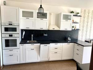 Pronájem bytu 2+kk, Praha - Žižkov, Olgy Havlové, 54 m2