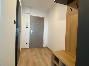Pronájem bytu 2+kk, Most, Josefa Ševčíka, 39 m2