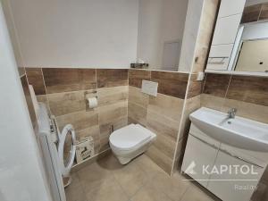 Pronájem bytu 1+kk, Praha - Michle, Mezipolí, 26 m2