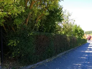 Prodej zahrady, Kanice, 2085 m2