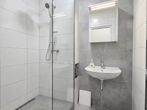 Pronájem bytu 1+1, Praha - Vinohrady, Řipská, 52 m2