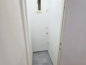 Pronájem bytu 1+1, Praha - Vinohrady, Řipská, 52 m2