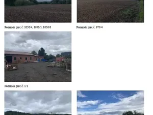 Dražba pole, Staňkovice, 1500 m2